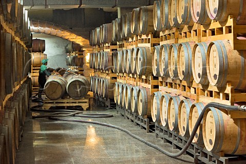 Barrel cellar at Chateau ChangyuCastel a joint venture winery on the outskirts of Yantai Shandong Province China