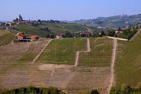 Ornato vineyard of Pio Cesare left and centre and Falletto vineyard of Bruno Giacosa far right Serralunga dAlba Piemonte Italy Barolo