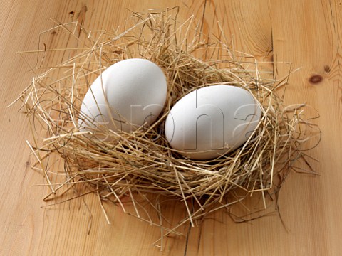 Two goose eggs in straw