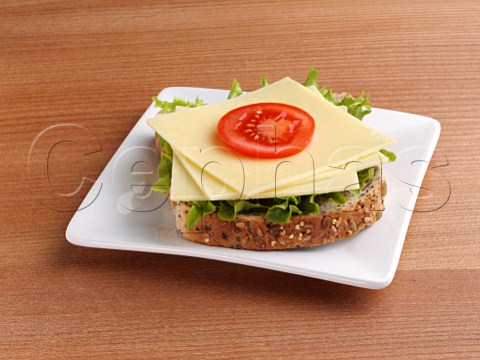 Open cheese sandwich on a white plate