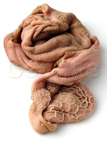 Chitterlings on a white background