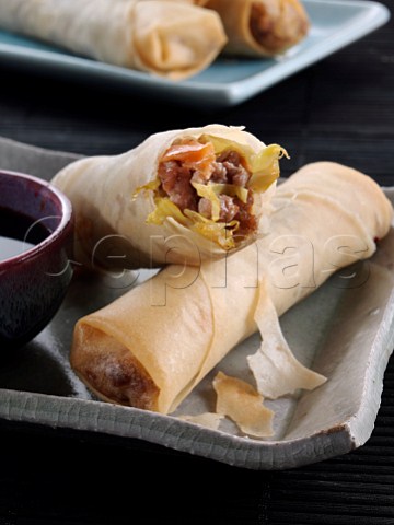 Chinese deep fried egg rolls