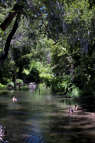 Swimming in the Napa River by Yountville Cross Road Yountville Napa Valley California