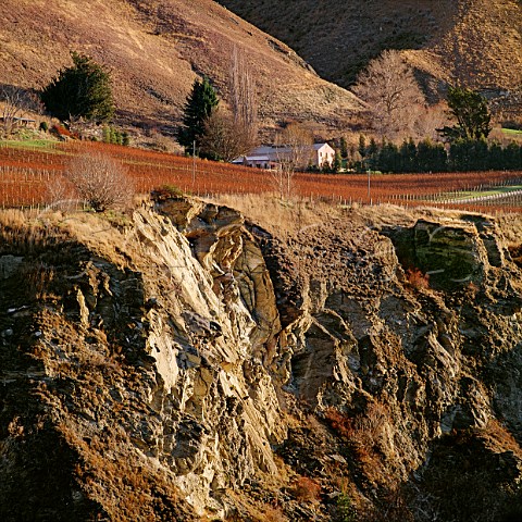 Chard Farm vineyard above the Kawarau River Gibbston Central Otago   New Zealand