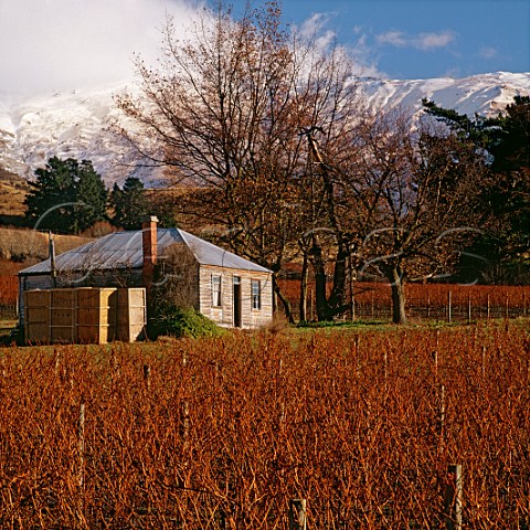 Old house in Havoc Farm Vineyard of Van Asch with The Remarkables beyond Gibbston Central Otago New Zealand