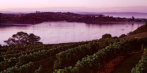 Predawn light on Oneroa Bay Waiheke Island New Zealand