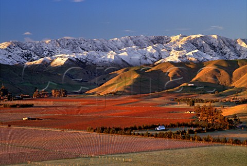 Vineyards in the Upper Brancott Valley including Cloudy Bay Mustang Fairhall Downs and Clayvin with snow on the Blairich Range beyond Marlborough New Zealand