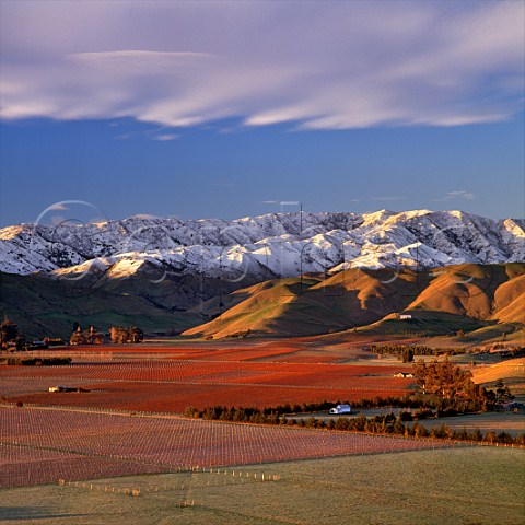 Vineyards in the Upper Brancott Valley including Cloudy Bay Mustang Fairhall Downs and Clayvin with snow on the Blairich Range beyond Marlborough New Zealand