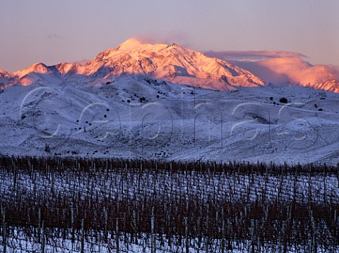 Mount TapuaeOUenuku viewed from vineyard of Ballochdale Estate in the Upper Awatere Valley Marlborough New Zealand    
