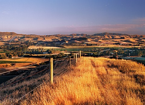 Vineyards in the Waipara Valley viewed from the Teviotdale Hills Canterbury   New Zealand  Waipara