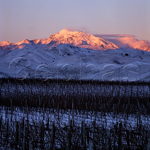 Mount TapuaeOUenuku viewed from  Ballochdale Estate vineyard in the Upper Awatere Valley Marlborough New Zealand    
