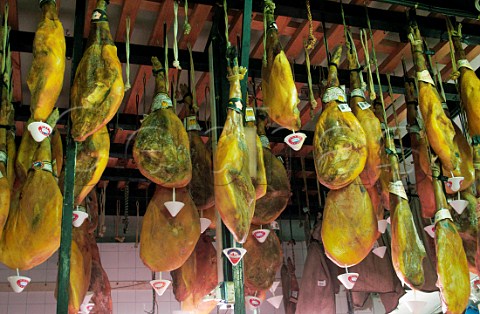 Hams hanging in butchers shop  El Bosque Sierra de Cdiz Andaluca Spain