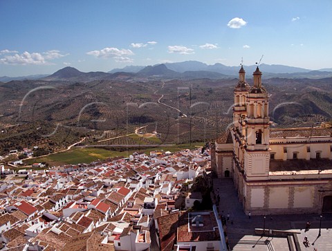 The Church of Nuestra Seora de la Encarnacin viewed from the castle of Olvera with olive groves and vineyards in distance Olvera Sierra de Cdiz Andaluca Spain