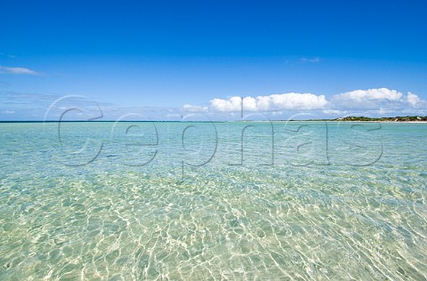 Clear turquoise water at Point Malcolm Nuytsland Nature Reserve Western Australia