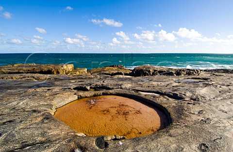 Rock pool at Point Malcolm Nuytsland Nature Reserve Western Australia