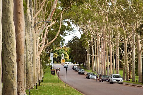Fraser Avenue Kings Park Gardens Perth Western Australia
