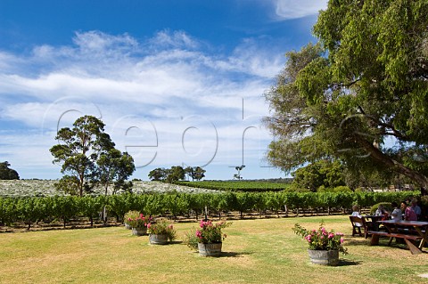 Picnic tables in garden of Cullen Wines Cowaramup Western Australia   Margaret River