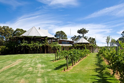 Vasse Felix vineyard and winery Cowaramup Western Australia  Margaret River