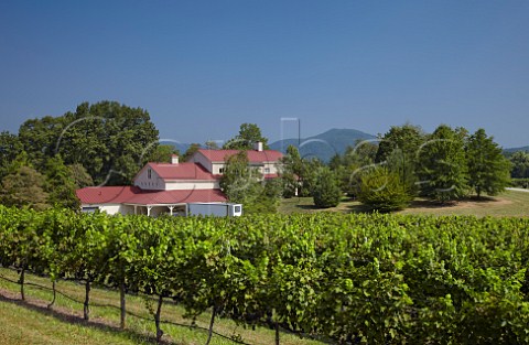 White Hall winery and vineyard with Fox Mountain in distance  Crozet Virginia USA  Monticello AVA