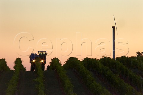 Machine harvesting of Cabernet Franc grapes before sunrise   Barboursville Vineyards Barboursville Virginia USA Monticello AVA