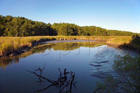 College Creek near Williamsburg Winery  Williamsburg Virginia USA