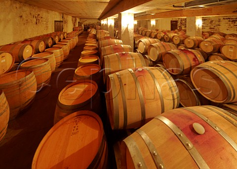 Barrel cellar of Williamsburg Winery Williamsburg Virginia USA
