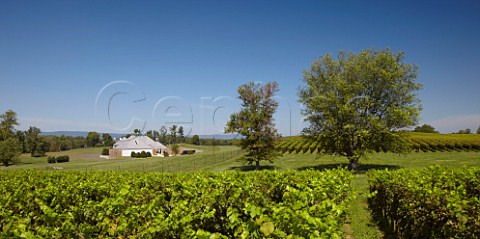 Boxwood winery viewed from its Cabernet Sauvignon vineyard   Middleburg Virginia USA