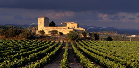 Vineyard of the 11thcentury Castillo de Milmanda of Miguel Torres The castle was formerly part of the holdings of the nearby Monastery of Poblet Vimbodi Catalonia Spain   Conca de Barbera    