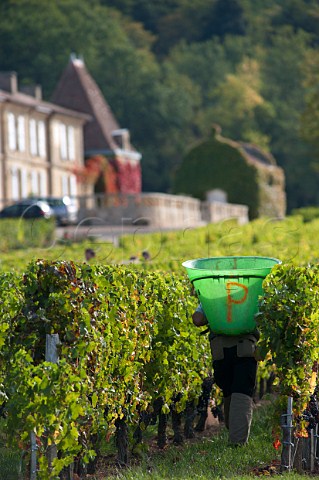 Hod carrier in vineyard of Chteau Lassgue StHippolyte Gironde France  Saintmilion  Bordeaux