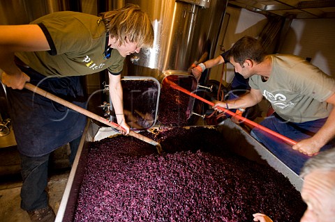Emptying a fermentation tank of spent grape skins marc Chteau Margaux  Margaux Gironde France   Mdoc  Bordeaux