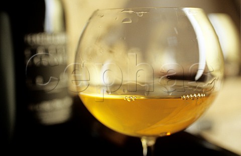 Glass of Ribolla Gialla which has been fermented in terracotta amphora by Josko Gravner Oslavia Friuli Italy  Collio