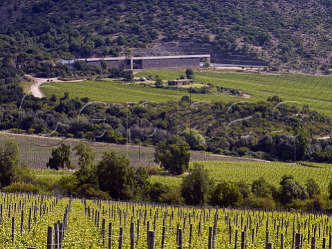 Altair winery and vineyards in the Cachapoal Valley Chile Rapel