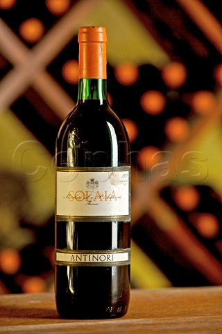Bottle of the first vintage of Antinori Solaia 1979 in the archive cellar at Villa Tignanello Montefiridolfi Tuscany Italy