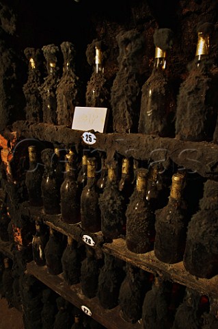 Bottles of 1912 Tokaji in cellar of Tokaj Oremus Tolcsva Hungary