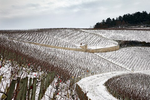 Les Preuses and Vaudsir vineyards with the tiny La Moutonne a monopole of Domaine LongDepaquit at top  Chablis Yonne France Chablis Grand Cru