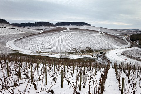 View southeast over the Grand Cru vineyards of Chablis from Les Preuses with Vaudsir Grenouilles Valmur and Les Clos beyond  Yonne France  Chablis Grand Cru