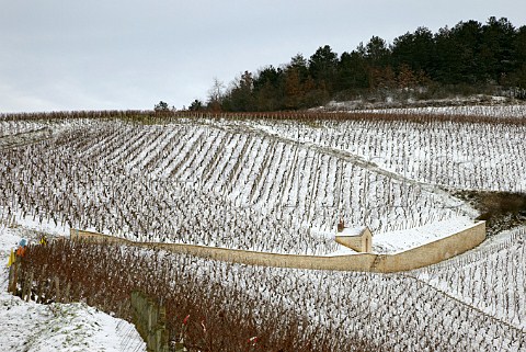 La Moutonne vineyard a monopole of Domaine LongDepaquit between Les Preuses and Vaudsir vineyards  Chablis Yonne France  Chablis Grand Cru