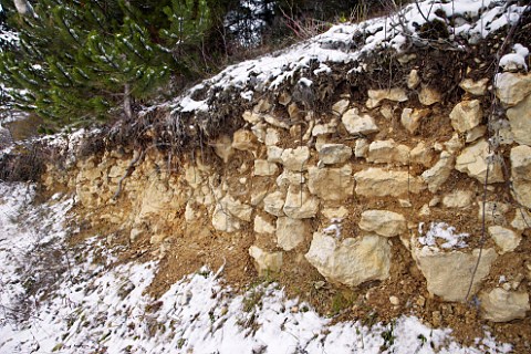 Kimmeridgean Clay soil profile above Les Clos vineyard Chablis Yonne France  Chablis Grand Cru