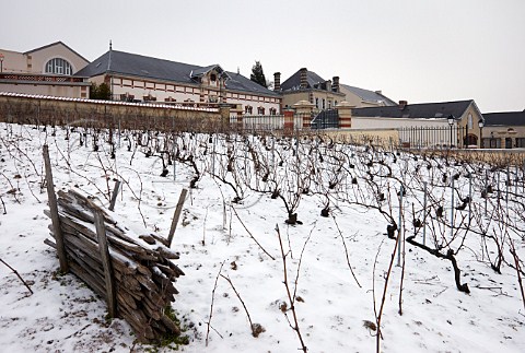 Clos StJacques vineyard and premises of Bollinger a section of which is planted en foule the Pinot Noir grapes from the ungrafted vines are used in their Vieilles Vignes Franaises Ay Marne France Champagne