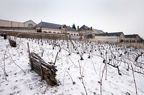 Clos StJacques vineyard and premises of Bollinger a section of which is planted en foule the Pinot Noir grapes from the ungrafted vines are used in their Vieilles Vignes Franaises Ay Marne France Champagne