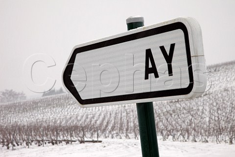 Road sign by vineyard on the Montagne de Reims above Ay Marne France Champagne