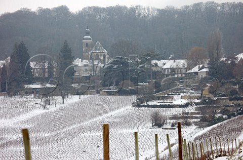 Vineyards below the Abbey of Hautvillers where Dom Prignon is buried   Near pernay Marne France  Champagne