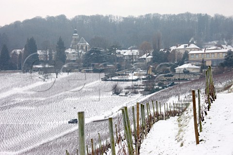 Vineyards below the Abbey of Hautvillers where Dom Prignon is buried   Near pernay Marne France  Champagne