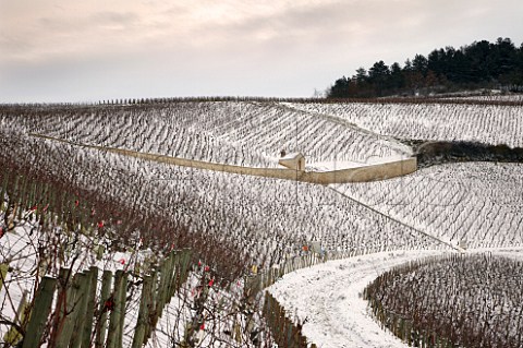 Les Preuses and Vaudsir vineyards with the tiny La Moutonne at top a monopole of Domaine LongDepaquit  Chablis Yonne France Chablis Grand Cru