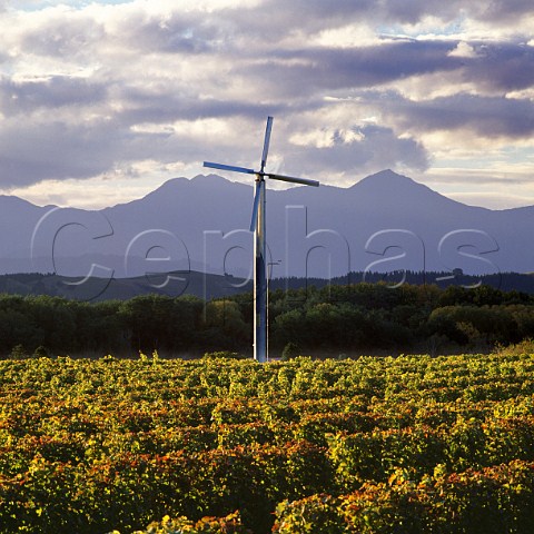 Wind machine in autumnal vineyard of Little Beauty in the Waihopai Valley Marlborough New Zealand