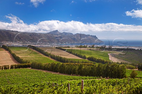 View over vineyards to the town of Gordons Bay on False Bay with the Hottentots Holland Mountains beyond  Near Somerset West Western Cape South Africa  Stellenbosch