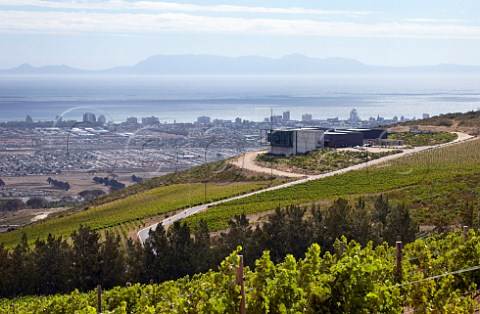 Waterkloof winery and vineyards above the town of Strand on False Bay   Near Somerset West Western Cape South Africa  Stellenbosch