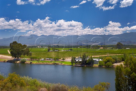 Vineyards and winery of Viljoensdrift by the Breede River with the Langeberg Mountains in distance  Robertson Western Cape South Africa Breede River Valley