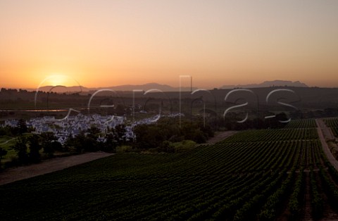 Vineyards of Kleine Zalze with the sun setting over Cape Point left and Table Mountain right  Stellenbosch Western Cape South Africa   Stellenbosch