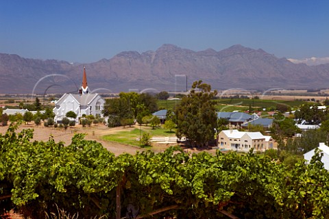 Vineyards around town of RiebeekKasteel Swartland Western Cape South Africa Riebeekberg